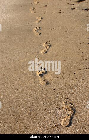 Fußabdrücke im Sand in der Nähe des Meeres. Menschliche Fußabdrücke am Ufer eines Sandstrands. Stockfoto