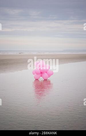 Viele pastellpinke Partyballons, die bei Ebbe an einem Strand in Deauville, Normandie, Frankreich, auf einer Pfütze Wasser ruhen. Stockfoto