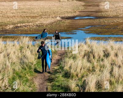 John Muir Country Park, East Lothian, Schottland, Großbritannien. März 2020. Wetter in Großbritannien: Frühlingssonne ermöglicht es den Menschen, die Natur trotz sozialer Distanzierungen zu genießen. Eine Gruppe kehrt vom Surfen in der Belhaven Bay zurück Stockfoto