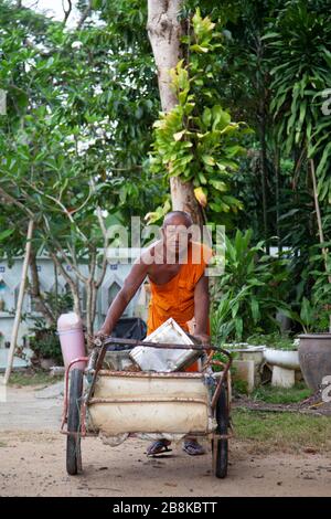 Lokaler buddhistischer Mönch, der täglich seine Aufgabe ausführt, Blätter im Hof mit seinem Wagen im Wat Khunaram, Koh Samui, Thailand zu fegen Stockfoto