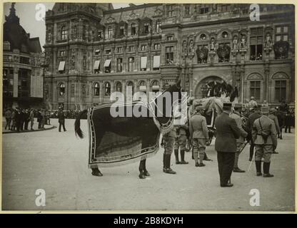 Beerdigung von G [ENER] al Galliéni: Der Hörner und das Arbeitstier des Verstorbenen. Der Trauerwagen von General Joseph Gallieni und ihrem Haustier vor dem Rathaus, 4. Bezirk, Paris, 1. Juni 1916 Anonyme. Funérailles du Général Galliéni : le char funèbre et le cheval de bataille du défunt. Le char funèbre du Général Joseph Galliéni et son cheval de bataille devant l'Hôtel de Ville, 4ème arronicale, Paris, le 1er juin. Tirage au gélatino-bromure d'argent. 01 Juin 1916-01 Juin. Paris, musée Carnavalet. Stockfoto