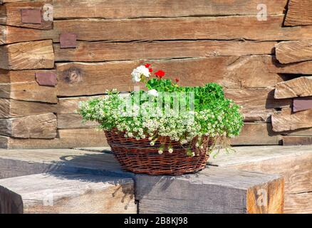 Blumenstrauß im Korb Stockfoto