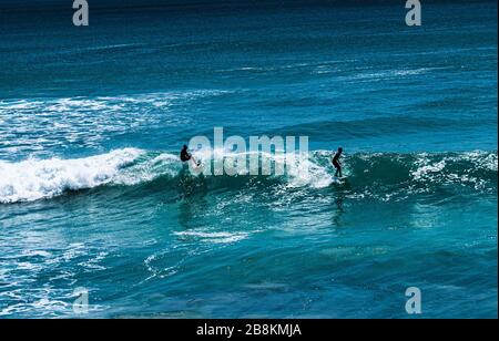 Surfer in Uluwatu surfen in einem der besten Surforte der Welt. Surfer aus der ganzen Welt kommen nach Uluwatu, um die Wellen zu schlagen Stockfoto