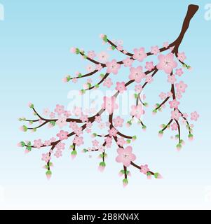 Eine Vektordarstellung eines Zweiges mit rosafarbenen Blüten und Blumenbutten Stock Vektor