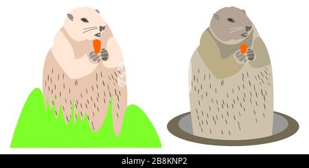 Marmot steht mit Karotte in den Händen, zwei Varianten: Im Gras und aus dem Loch heraus. Cartoon-Zeichnung. Stock Vektor