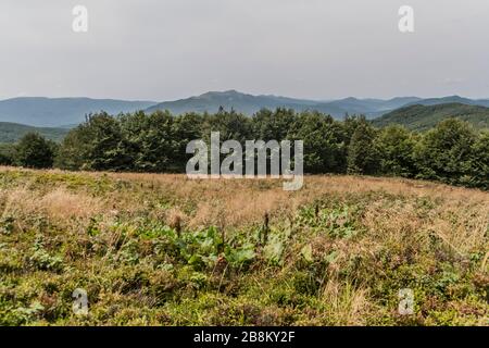 Straße von Widełki durch Bukowe Berdo und Tarnica nach Wołosate im Bieszczady-Gebirge in Polen Stockfoto