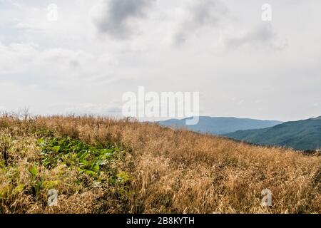 Straße von Widełki durch Bukowe Berdo und Tarnica nach Wołosate im Bieszczady-Gebirge in Polen Stockfoto