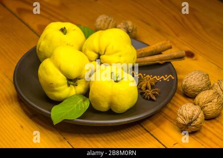 Große gelbe Quinzfrüchte auf einer Keramikplatte mit Anis, Zimt und Walnüssen Stockfoto
