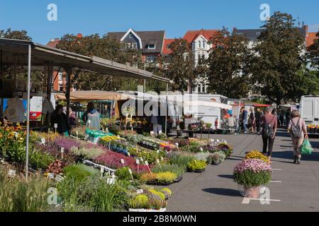 Markttag am Blücher-Platz, Oberwohnviertel in Kiel, Landeshauptstadt Schleswig-Holstein, Norddeutschland, Mitteleuropa Stockfoto