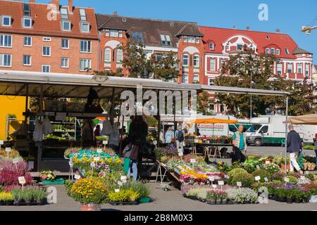 Markttag am Blücher-Platz, Oberwohnviertel in Kiel, Landeshauptstadt Schleswig-Holstein, Norddeutschland, Mitteleuropa Stockfoto