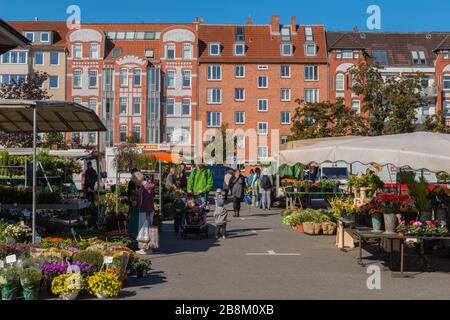 Markttag am Blücher-Platz, Oberwohnviertel in Kiel, Landeshauptstadt Schleswig-Holstein, Norddeutschland, Mitteleuropa Stockfoto