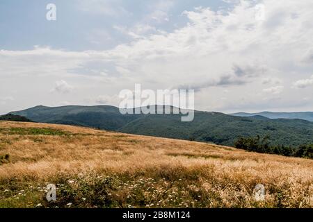 Straße von Widełki durch Bukowe Berdo und Tarnica nach Wołosate im Bieszczady-Gebirge in Polen Stockfoto