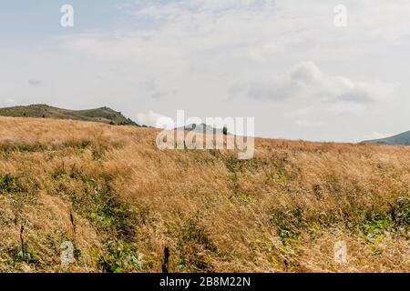 Straße von Widełki durch Bukowe Berdo und Tarnica nach Wołosate im Bieszczady-Gebirge in Polen Stockfoto