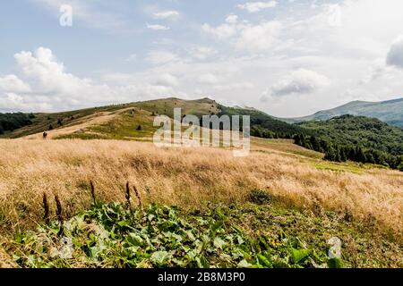 Straße von Widełki durch Bukowe Berdo und Tarnica nach Wołosate im Bieszczady-Gebirge in Polen Stockfoto