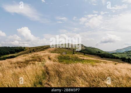 Straße von Widełki durch Bukowe Berdo und Tarnica nach Wołosate im Bieszczady-Gebirge in Polen Stockfoto