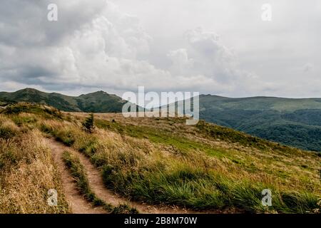 Straße von Widełki durch Bukowe Berdo und Tarnica nach Wołosate im Bieszczady-Gebirge in Polen Stockfoto