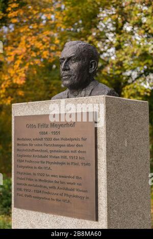 Nobelpreisträger für Medizin Otto Fritz Meyerhof, Arzt, Professor an der Kieler Universität, Kiel, Landeshauptstadt Schleswig-Holstein, Deutschland, Stockfoto