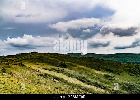 Straße von Widełki durch Bukowe Berdo und Tarnica nach Wołosate im Bieszczady-Gebirge in Polen Stockfoto