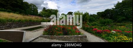 June Blake's Garden, Wicklow, Irland, Garten, Gärten, Staudengrenze, Mischung, gemischt, Pflanzen, Stauden, Dahlien, Lilium, helenium, Persicaria, Angelica, Lärche Stockfoto