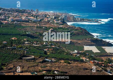 Weinberge und Felder für Anbau und Bodenbearbeitung in La Orotava und Puerto de la Cruz auf der Insel Tenera auf den Kanarischen Inseln Spanien Stockfoto