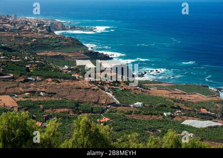 Weinberge und Felder für Anbau und Bodenbearbeitung in La Orotava und Puerto de la Cruz auf der Insel Tenera auf den Kanarischen Inseln Spanien Stockfoto