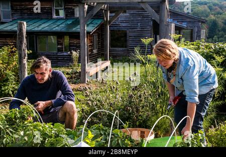 Praktikanten Der Farm School Stockfoto