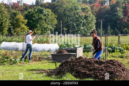 Bauernhof Praktikanten von Allegheny Mt. School, Virginia Stockfoto