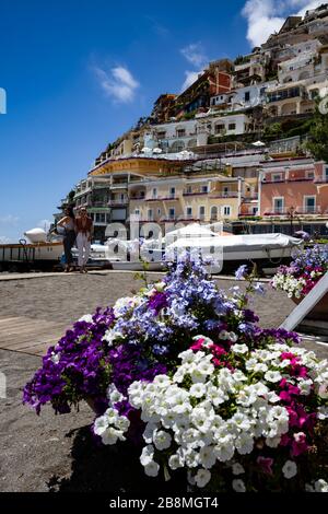 Petunien blühen in Positano an der Amalfiküste, Kampanien, Italien. Stockfoto