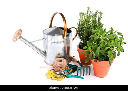 Gartenwerkzeuge und Gewürzpflanzen isoliert auf Weiß Stockfoto