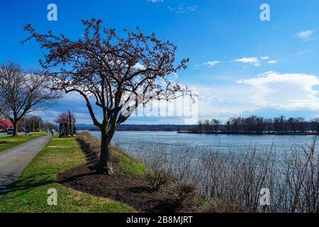 Susquehanna River Stockfoto