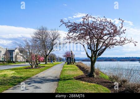 Susquehanna River Stockfoto