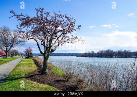 Susquehanna River Stockfoto