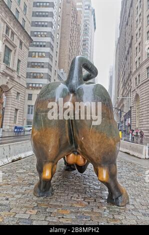 Charging Bull in Lower Manhattan, New York Stockfoto