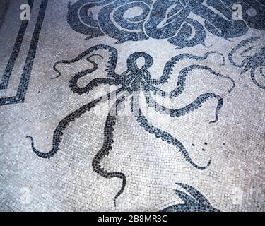 Altrömischer Mosaikboden in Herculaneum, der einen stilisierten Kraken, Kampanien, Italien, darstellt. Stockfoto