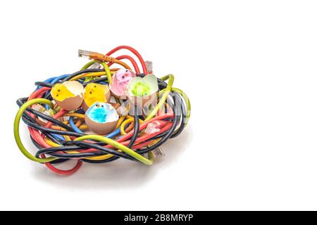 Ostereier im Korb, Hühner in den Eiern, Ostereier, Glückliche osterkarte, Osterhintergrund, Ethernet-Kabel-Gelege, Rechenzentrum, Internet Stockfoto