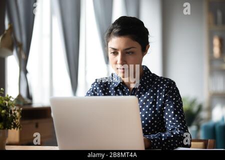 Seriöse Indianerin, die auf dem Laptop arbeitet und auf den Bildschirm schaut Stockfoto