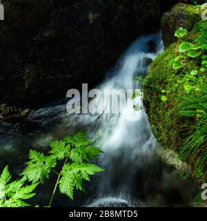 Kaskaden in Torrent mit Herbsthintergrund Stockfoto