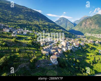 Sondrio - Valtellina (IT) - Luftbild der Weinberge in Frazione Sant'Anna Stockfoto