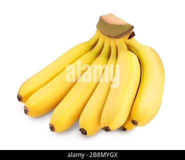 Baby-Bananen-Bund isoliert auf weißem Hintergrund mit Beschneidungspfad und voller Schärfentiefe Stockfoto