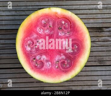 Verrottete Wassermelone in Scheiben Stockfoto