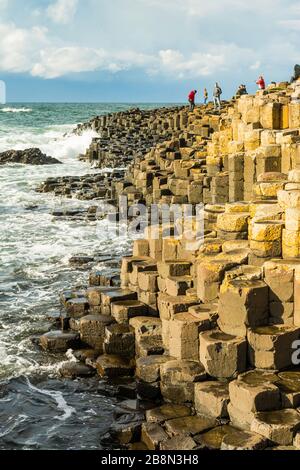 Der Giant's Causeway ist ein Bereich von ineinander greifenden sechseckigen Vulkanbasaltsäulen an der Nordküste des County Antrim, Nordirland, Großbritannien. Stockfoto