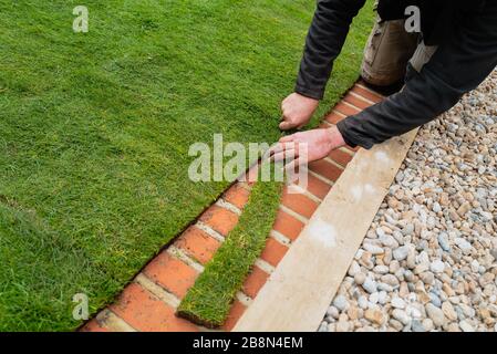 Ein Mann, der neu verlegten Naturrasen entlang des Ziegelmausstreifens am Rand des Rasens fräst Stockfoto