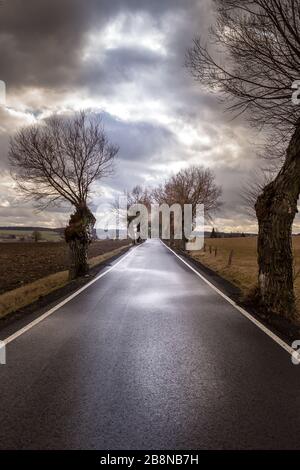 Gerade Asphaltstraße zwischen Bäumen mit dramatischem Winterhimmel Stockfoto