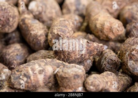 Haufen roher, ungeschälter tropischer Eddoe-Korme, Colocasia antiquorum, auf einem Marktstand in Ealing, West London Stockfoto