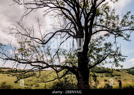 Kryve am Fluss San - ein ehemaliges Dorf im Bieszczady-Gebirge - seine Einwohner wurden 1947 von den kommunistischen polnischen Behörden vertrieben. Stockfoto