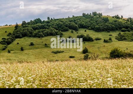 Kryve am Fluss San - ein ehemaliges Dorf im Bieszczady-Gebirge - seine Einwohner wurden 1947 von den kommunistischen polnischen Behörden vertrieben. Stockfoto