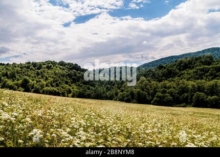 Kryve am Fluss San - ein ehemaliges Dorf im Bieszczady-Gebirge - seine Einwohner wurden 1947 von den kommunistischen polnischen Behörden vertrieben. Stockfoto