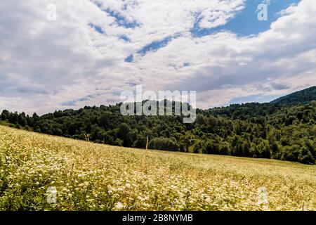 Kryve am Fluss San - ein ehemaliges Dorf im Bieszczady-Gebirge - seine Einwohner wurden 1947 von den kommunistischen polnischen Behörden vertrieben. Stockfoto