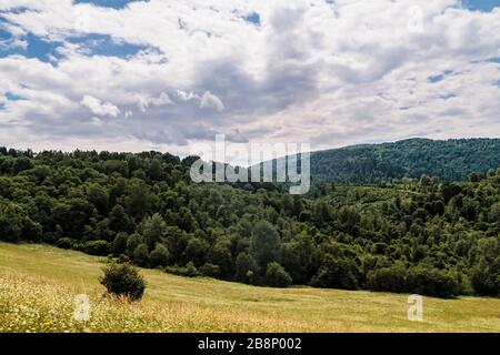 Kryve am Fluss San - ein ehemaliges Dorf im Bieszczady-Gebirge - seine Einwohner wurden 1947 von den kommunistischen polnischen Behörden vertrieben. Stockfoto