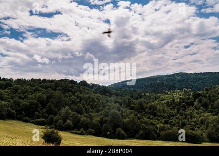 Kryve am Fluss San - ein ehemaliges Dorf im Bieszczady-Gebirge - seine Einwohner wurden 1947 von den kommunistischen polnischen Behörden vertrieben. Stockfoto